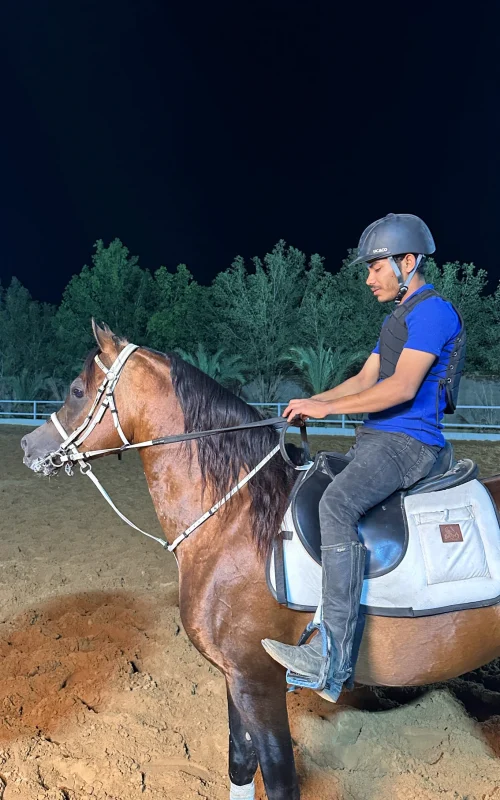 اسطبل ومربط البار