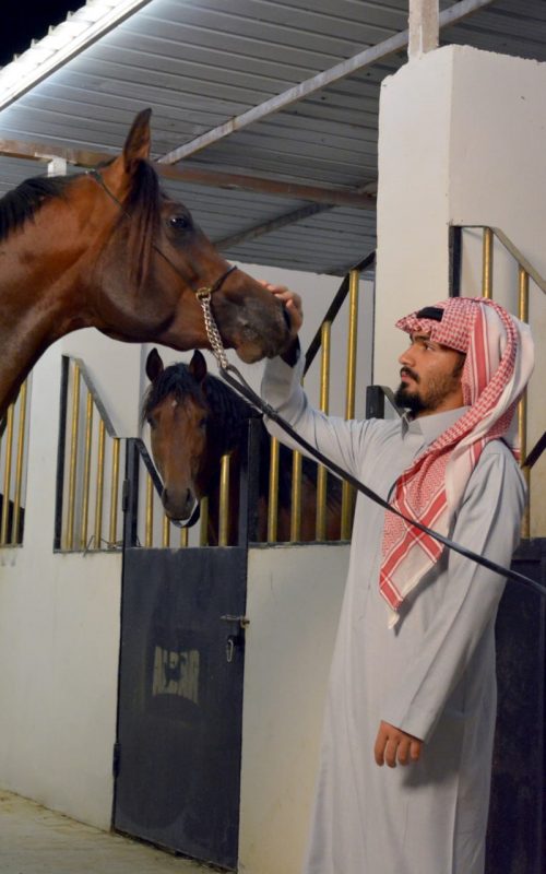 اسطبل ومربط البار