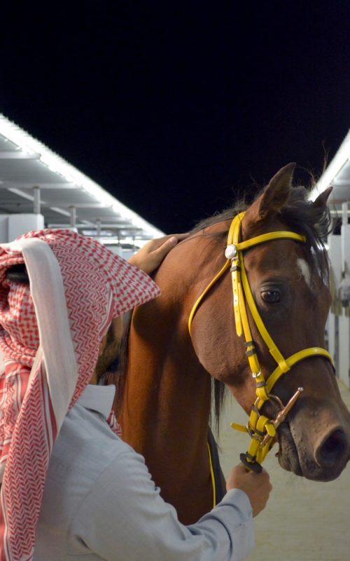 اسطبل ومربط البار