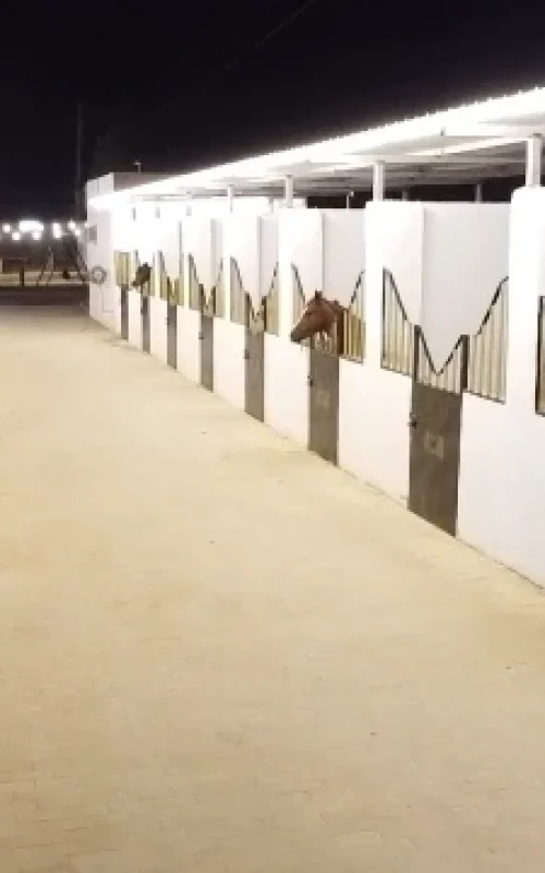 اسطبل ومربط البار